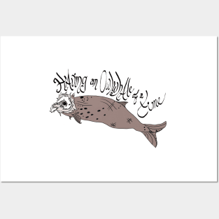 Beaked Whale Posters and Art